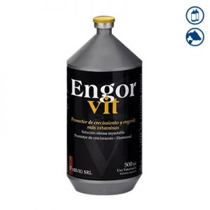 Engorvit 250 ml