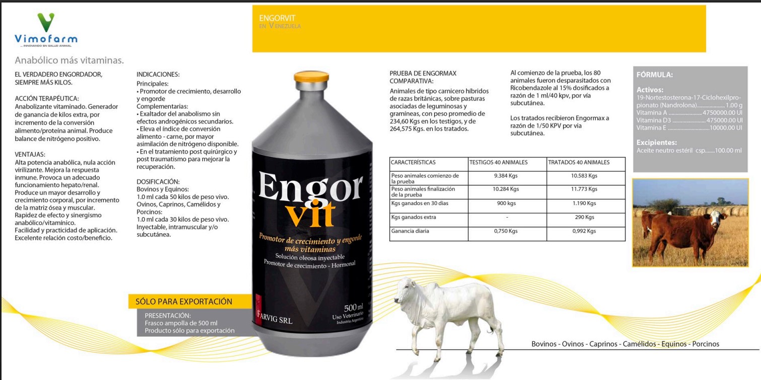 Engorvit 250 ml - Imagen 2