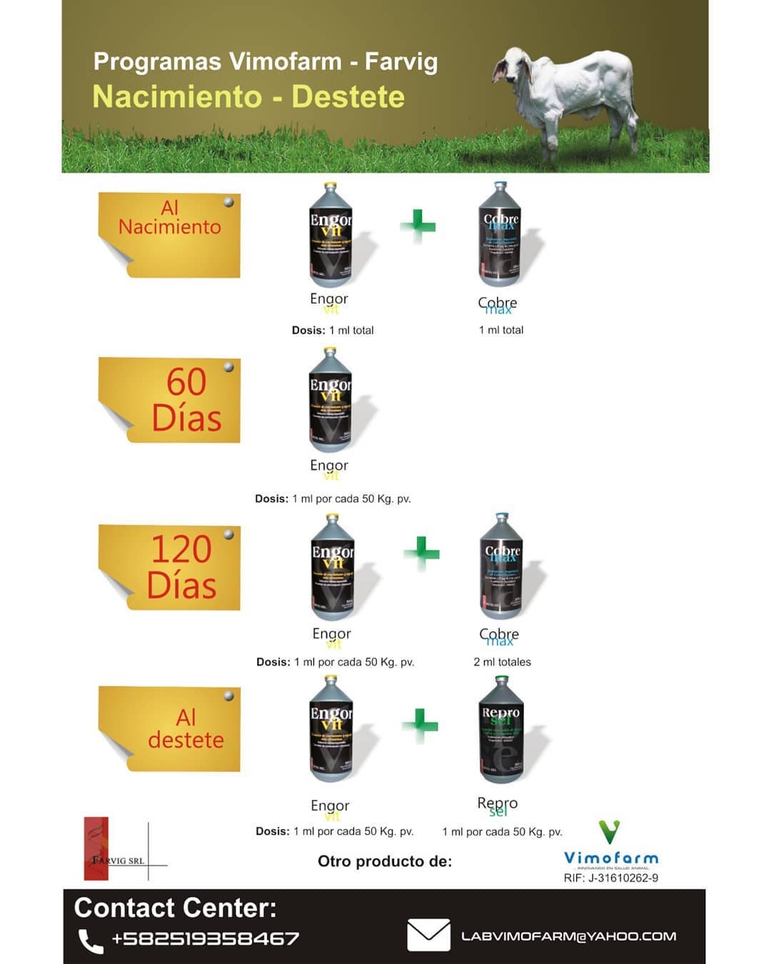 Engorvit 250 ml - Imagen 3