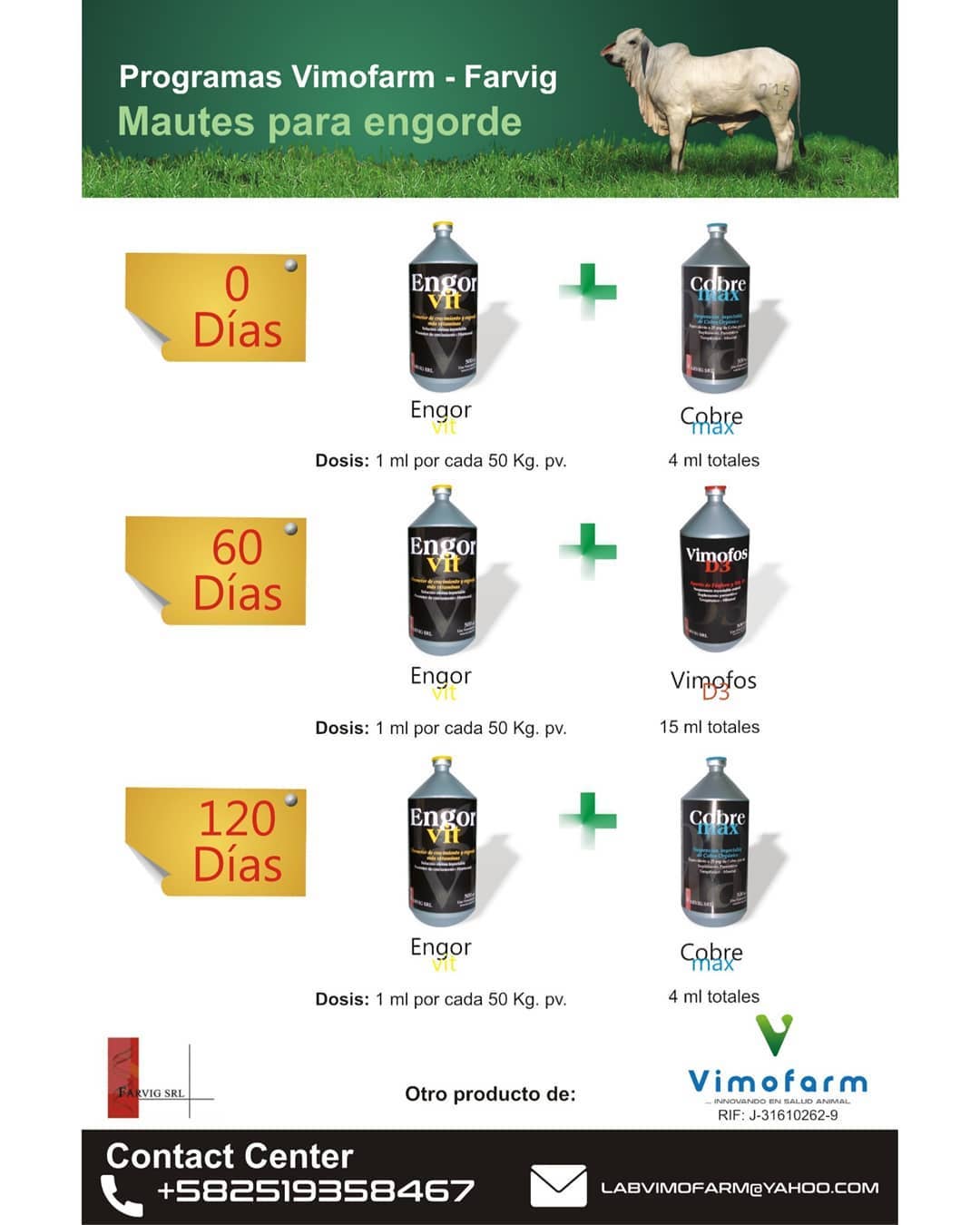 Engorvit 250 ml - Imagen 4