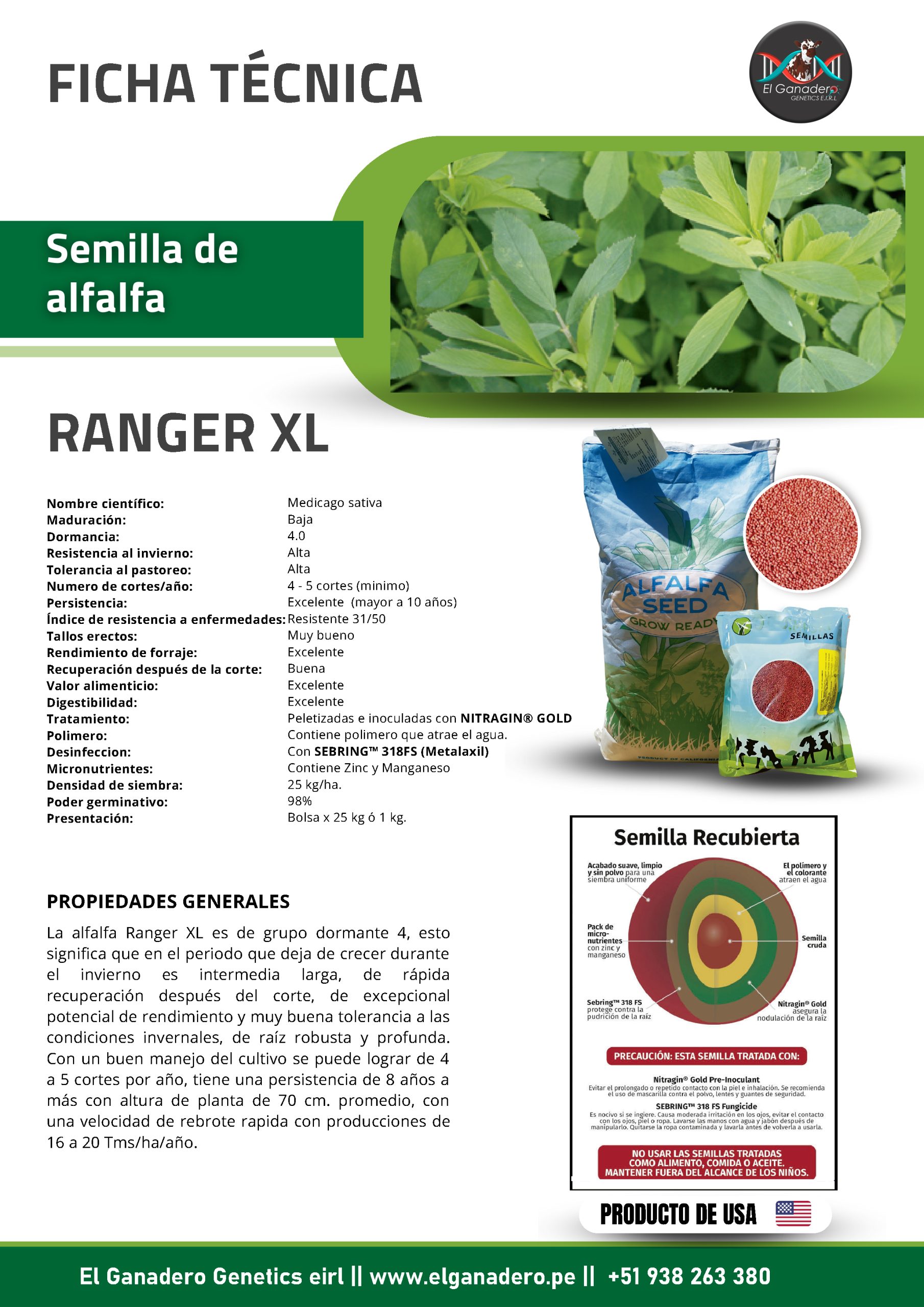 SEMILLA DE ALFALFA RANGER XL AMERICANO - Imagen 2