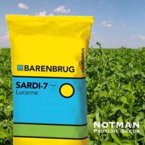 Semilla de Alfalfa SARDI 7 Series 2 – Alternativa moderna a la Moapa para la sierra