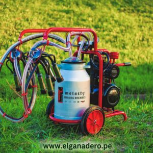 Máquina de Ordeño Portátil Melasty TY 2-2 AK-GE | Doble | 2 x 30 L | Motor Gasolina 6.5 HP